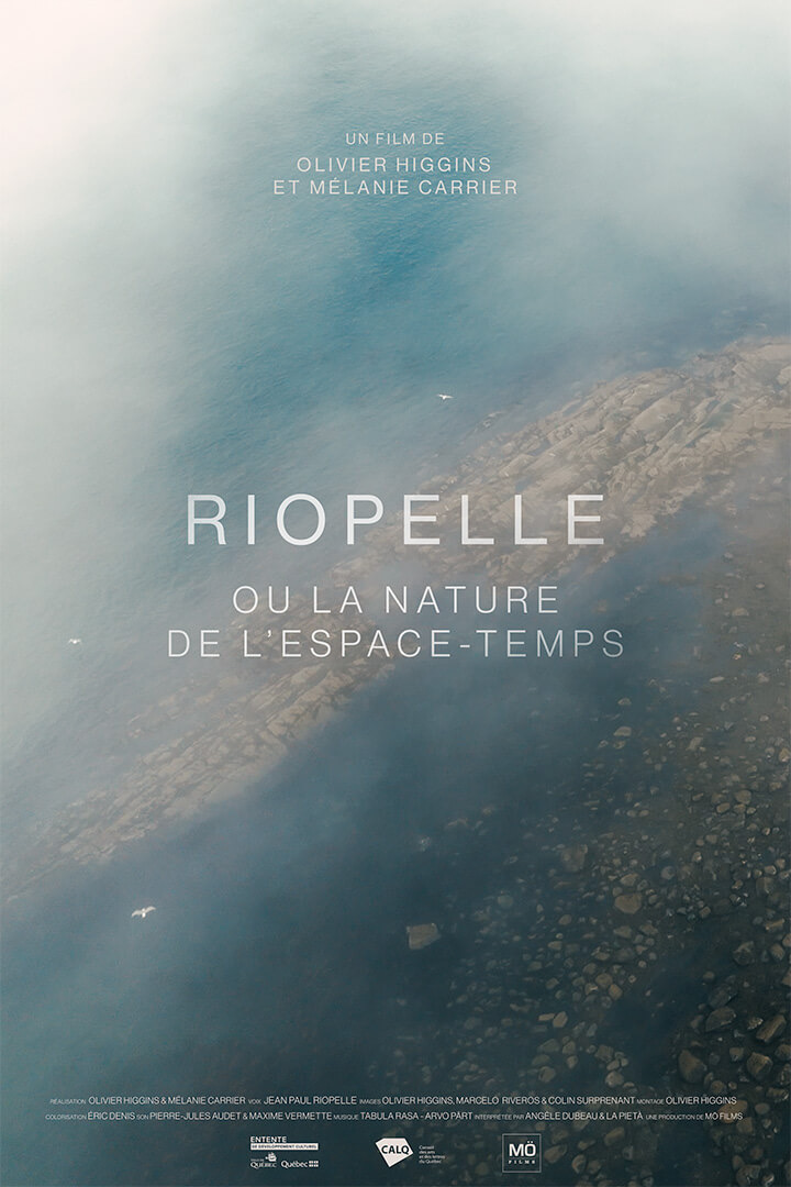Affiche du film Riopelle ou la nature de l’espace-temps — paysage aérien du fleuve Saint-Laurent, oiseaux de mer et brume.